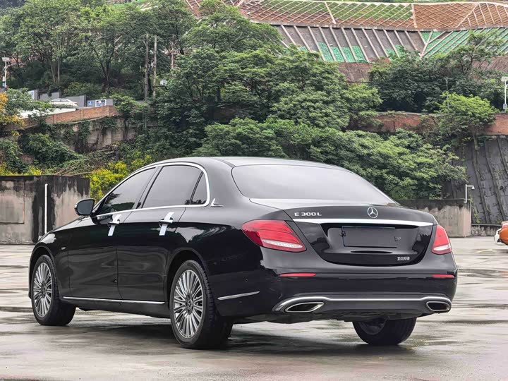 Mercedes-Benz E-Class 2020 E 300 L Luxury — фото 15