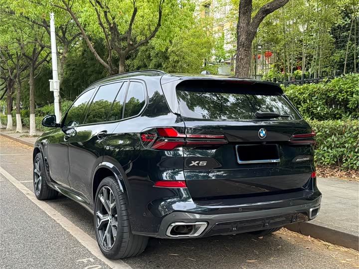 BMW X5 2023 x Drive 30 Li M — фото 4