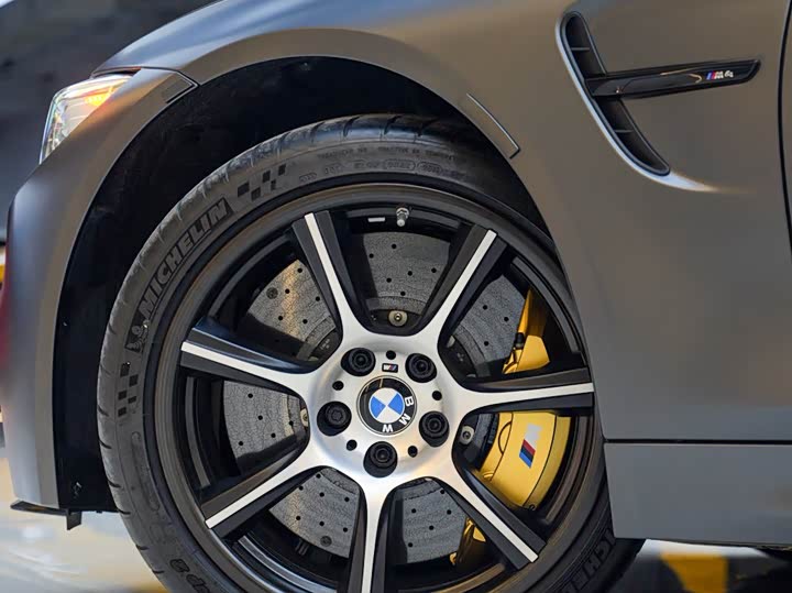 BMW M4 2016 M 4 GTS — фото 8