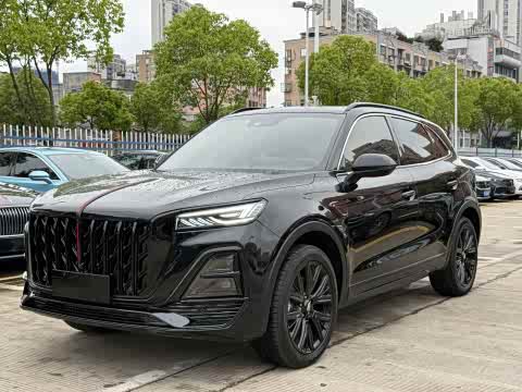 Hongqi HS5 2025 2.0 T 2 WD — фото 17