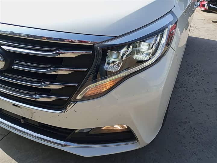 Trumpchi M8 2018 320 T — фото 3