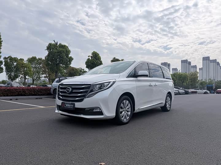 Trumpchi M8 2018 320 T — фото 1