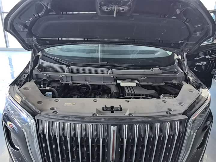 Hongqi HQ9 PHEV 2024 2.0 T 4 WD — фото 20