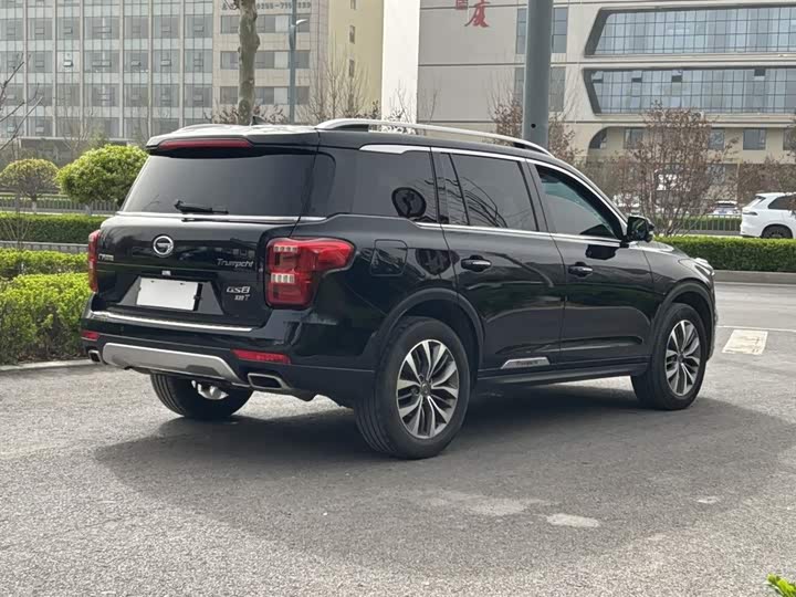 Trumpchi GS8 2017 320 T 2 WD ( ) — фото 9