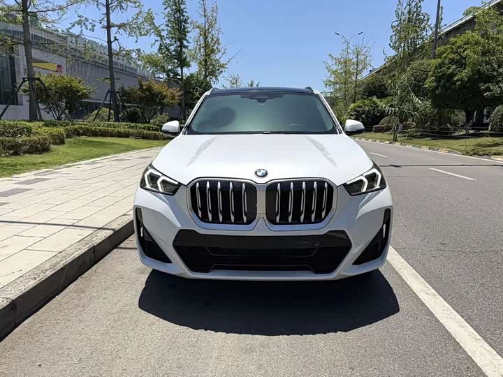 BMW X1 xDrive25Li M спортпакет — фото 2