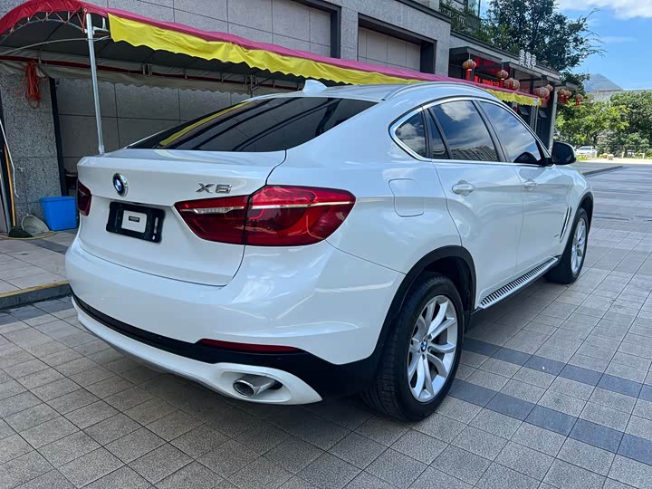 BMW X6 xDrive28i — фото 17