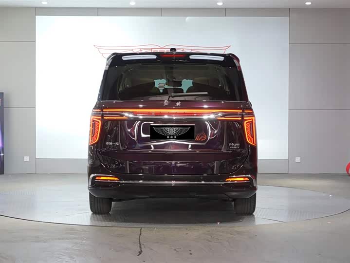 Hongqi HQ9 PHEV 2024 2.0 T 4 WD — фото 6