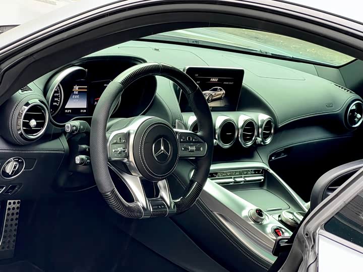 Mercedes-Benz AMG 2016 AMG GT — фото 12