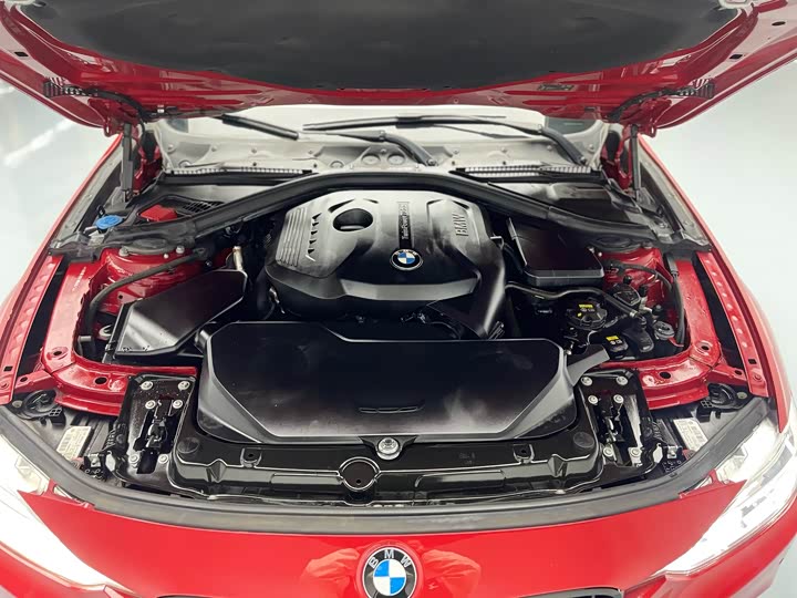 BMW 3-Series 2018 320 Li Leading M — фото 12