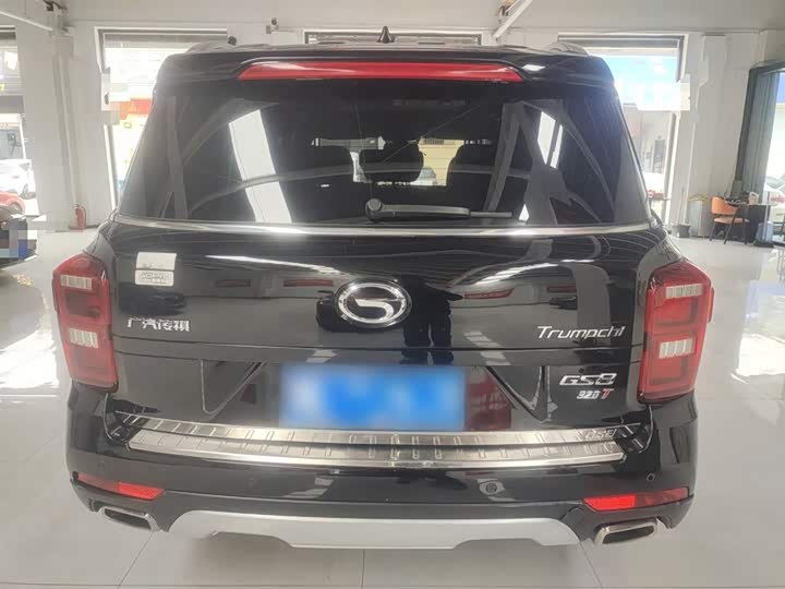Trumpchi GS8 2017 320 T 2 WD ( ) — фото 4