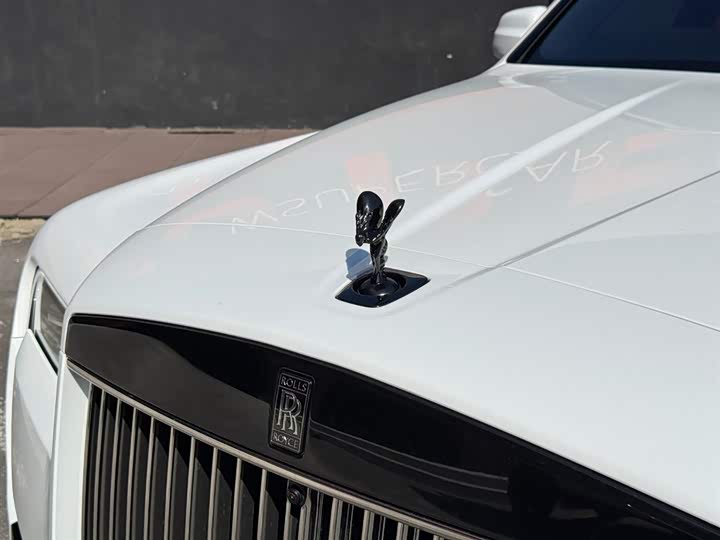 Rolls-Royce Cullinan — фото 23