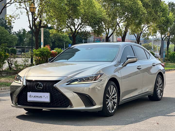 Lexus ES 2018 260 F SPORT V — фото 3