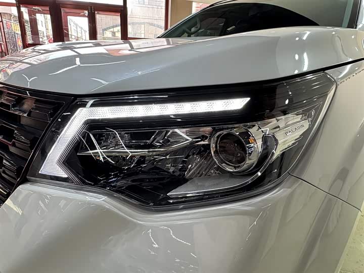 Dongfeng Paladin — фото 21