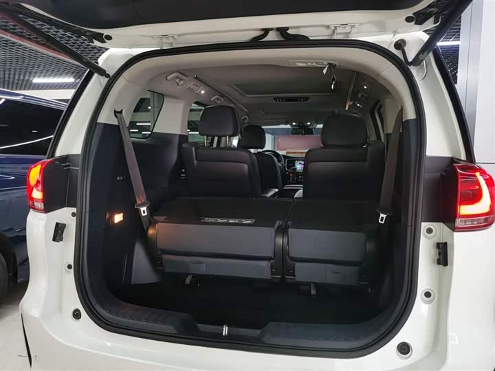 Trumpchi M8 2020 390 T — фото 9