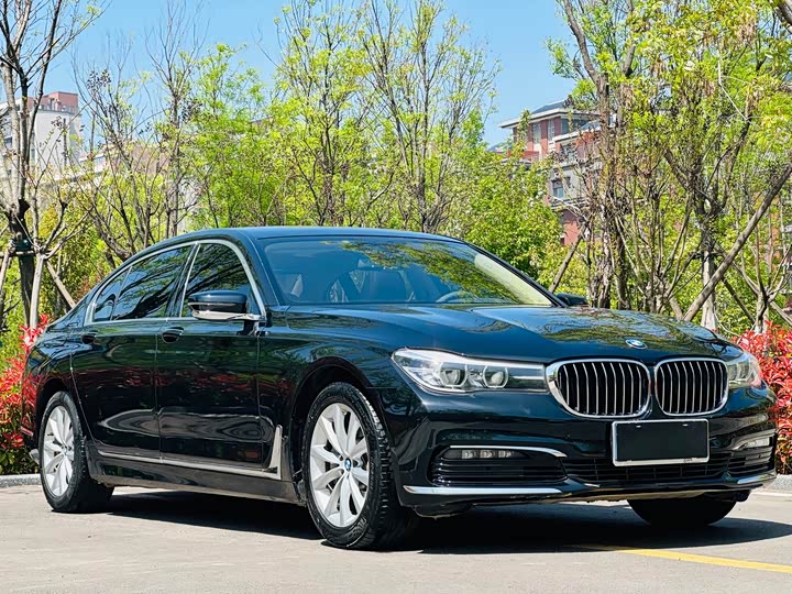 BMW 7 Series 730Li продвинутая — фото 3
