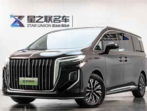 Hongqi HQ9 2024 2.0 T — фото 33