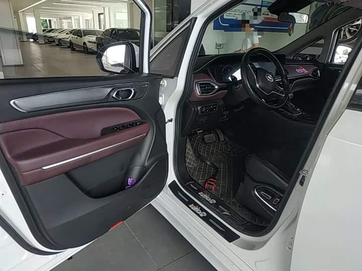 Trumpchi M6 2023 PRO 270 T DCT — фото 16