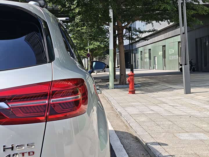 Hongqi HS5 2019 2.0 T 4 WD — фото 18