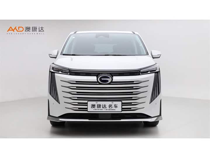 Trumpchi E9/2.0T/23 /MAX — фото 2