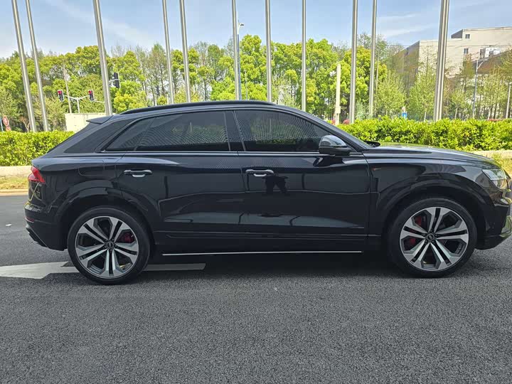Audi Q8 2021 55 TFSI — фото 15