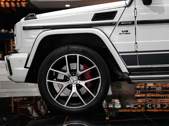 Mercedes-Benz G-Class 2016 AMG G 63 Edition 463 — фото 6