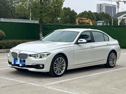 BMW 3-Series 2019 320 Li — фото 10