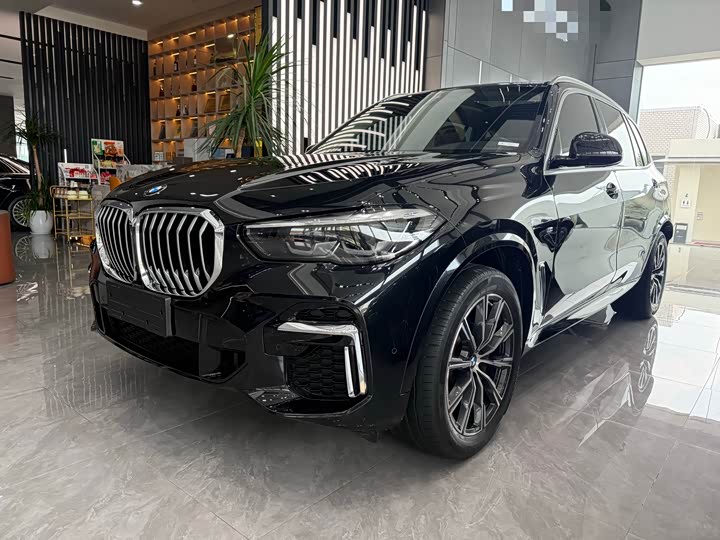 BMW X 5 2022 x Drive 30 Li M