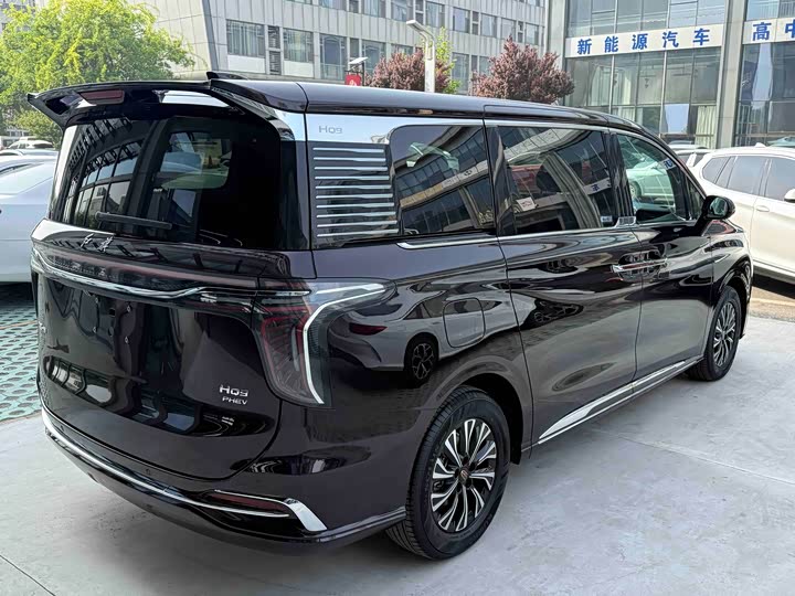 Hongqi HQ9 PHEV 2024 2.0 T 4 WD — фото 4
