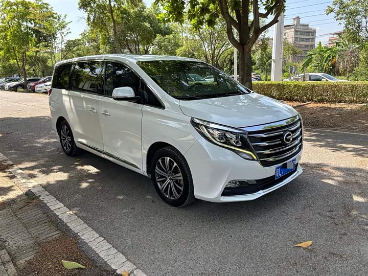 Trumpchi M8 2018 320 T — фото 3