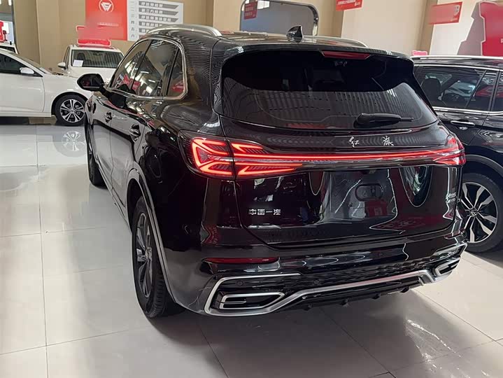 Hongqi HS5 2023 2.0 T Pro — фото 16