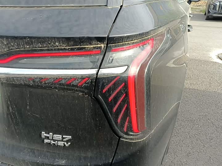 Hongqi HS7 PHEV 2024 2.0 T PHEV 4 WD 6 — фото 8