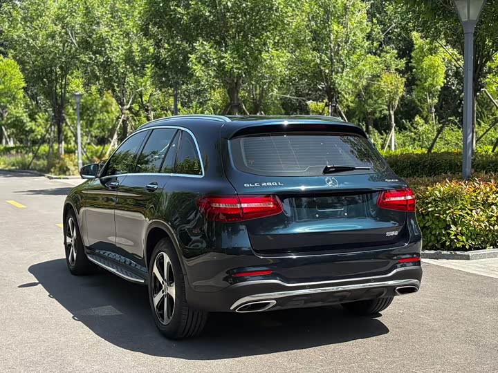 Mercedes-Benz GLC 2019 GLC 260 4 MATIC Luxury — фото 8