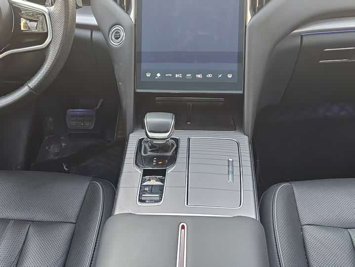 Hongqi HS7 PHEV 2024 2.0 T PHEV 4 WD 6 — фото 24