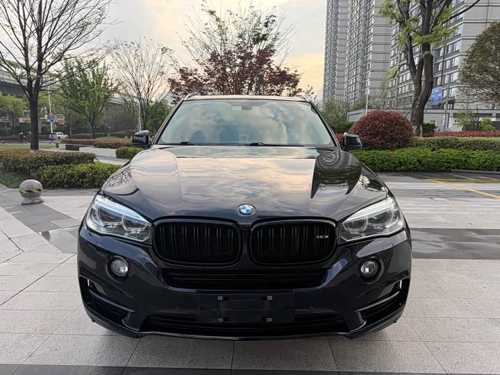 BMW X5 2017 x Drive 28i — фото 2
