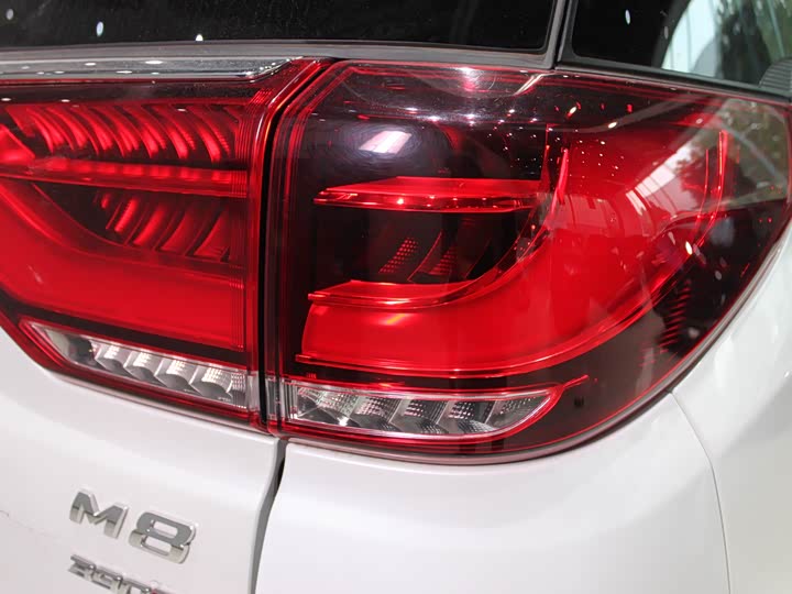 Trumpchi M8 2023 390 T — фото 6