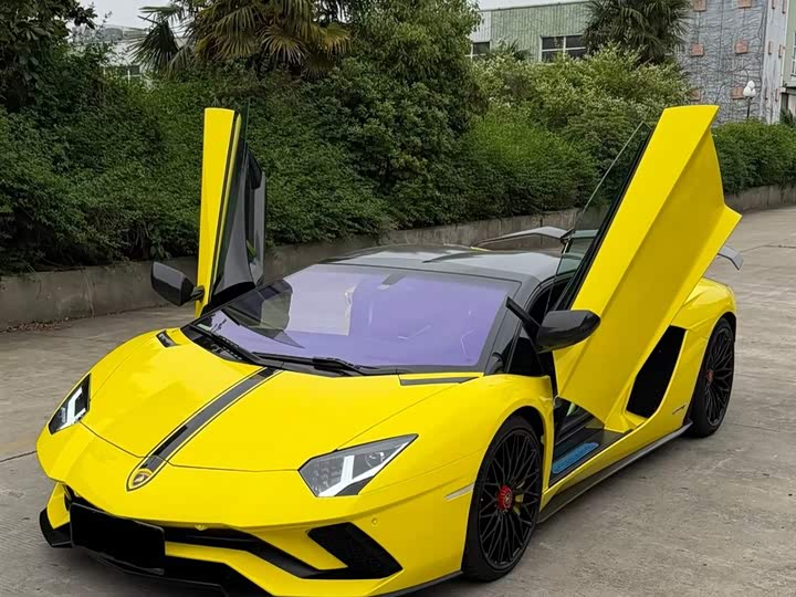 Lamborghini Aventador 2018 Aventador S Roadster — фото 6