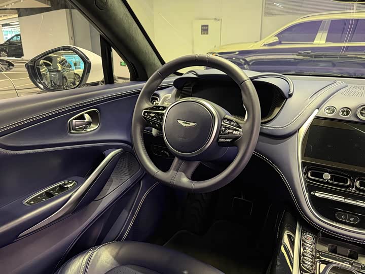 Aston Martin DBX 2021 4.0 T V 8 — фото 25