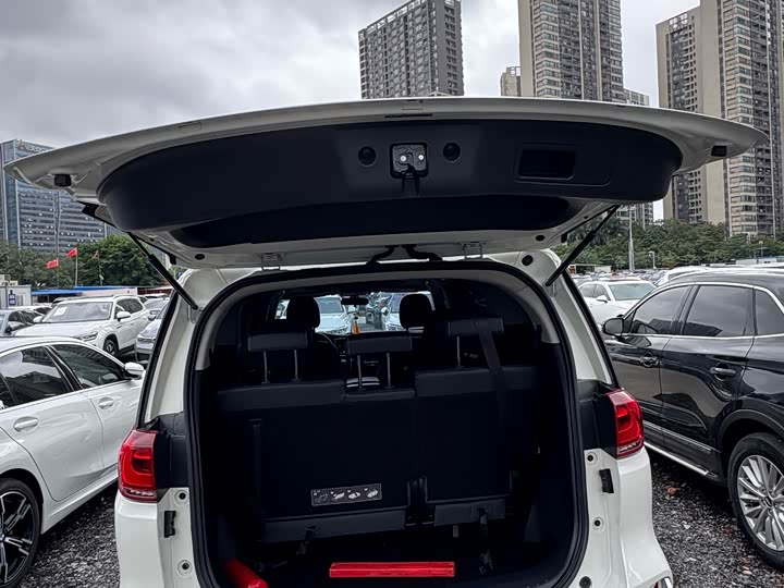 Trumpchi M8 2020 390 T — фото 21