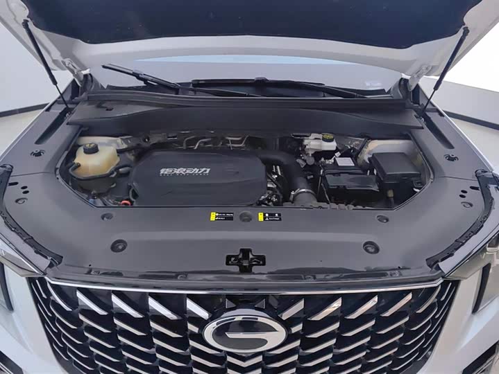 Trumpchi GS8 2024 2.0 TGDI 2 WD 7 — фото 10