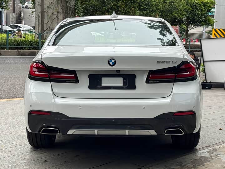 BMW 5-Series 2021 530 Li x Drive M — фото 17