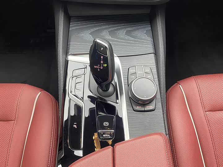 BMW 5-Series 2021 530 Li Leading M — фото 20