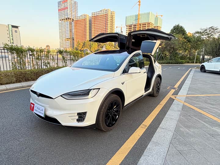 Tesla Model X 2019 — фото 20