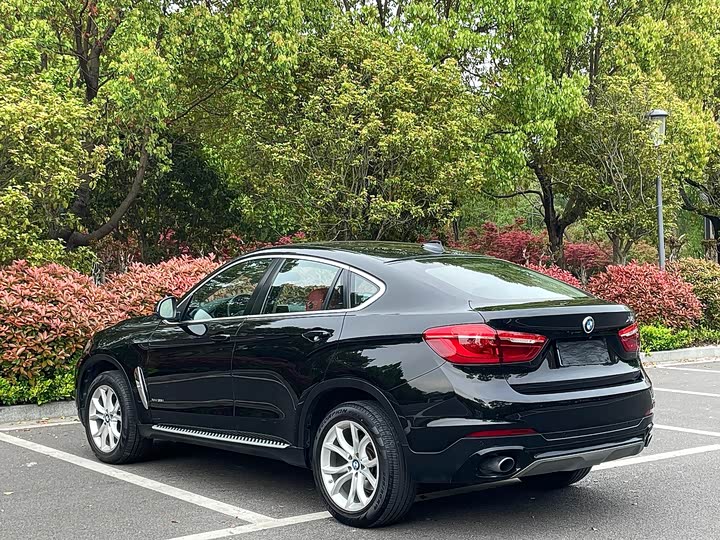 BMW X6 2017 x Drive 35i Leading — фото 5