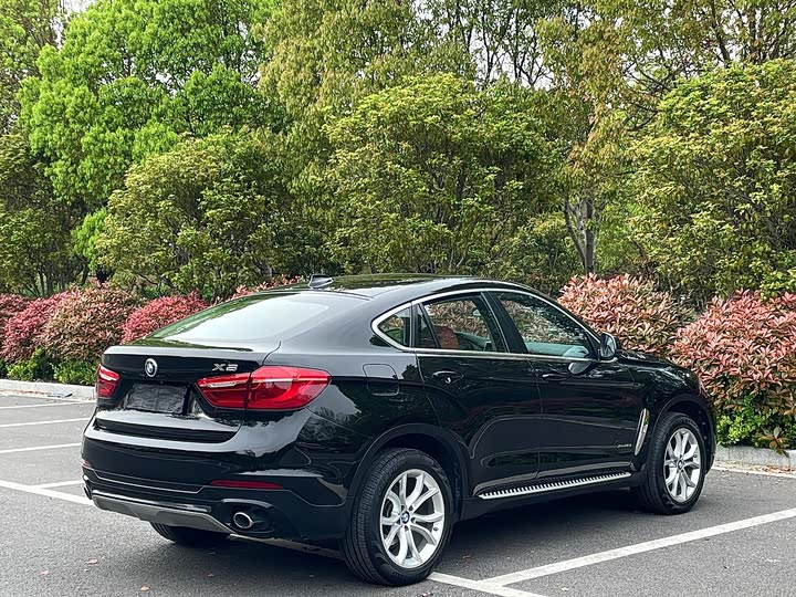 BMW X6 2017 x Drive 35i Leading — фото 15