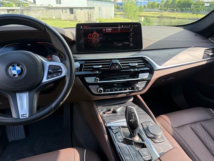 BMW 5-Series 2021 530 Li Leading M — фото 11