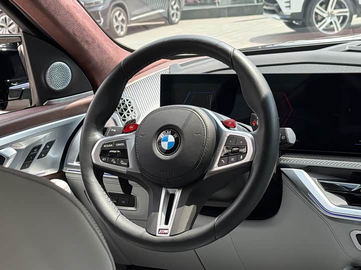BMW XM 2023 50e — фото 13
