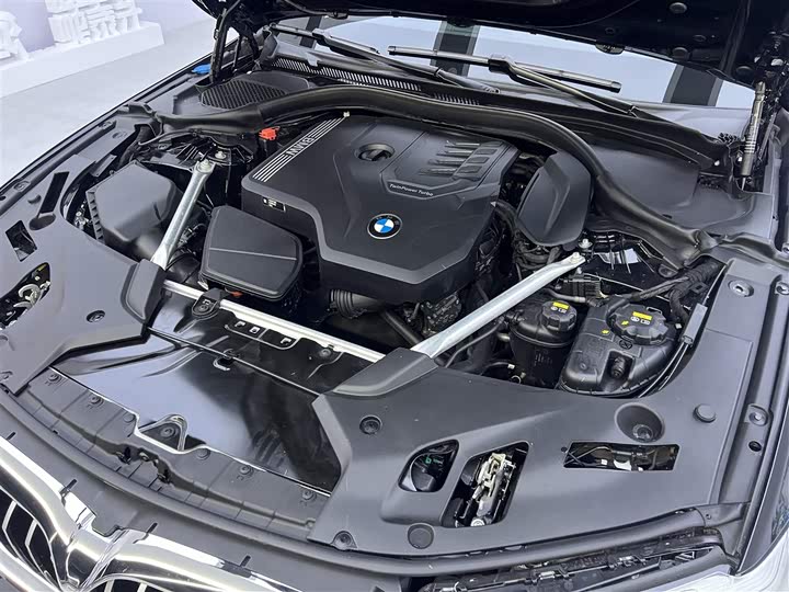 BMW 5-Series 2022 530 Li Leading M — фото 11