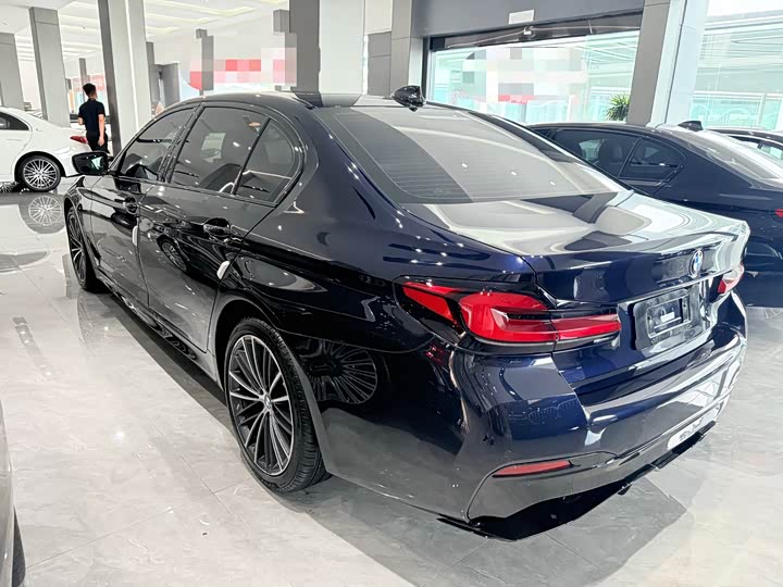 BMW 5-Series 2021 530 Li Leading M — фото 10