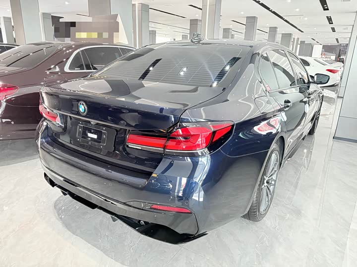 BMW 5-Series 2021 530 Li Leading M — фото 8