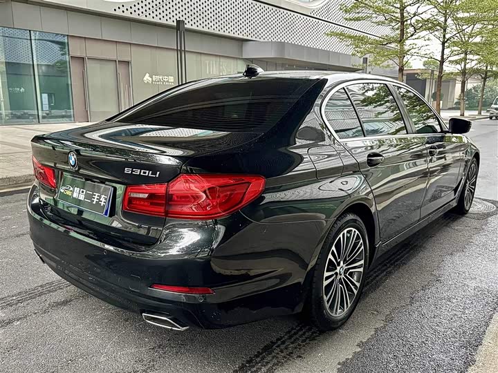 BMW 5 Series 528Li — фото 6
